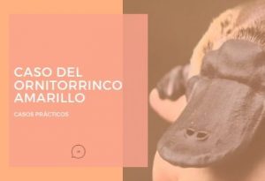 Caso Del Ornitorrinco Amarillo